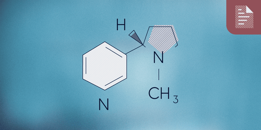 Nicotine salt, free-base nicotine and resinate: three common forms of nicotine in tobacco-free nicotine pouches