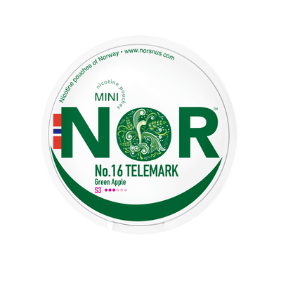 N. 16 Telemark Mini