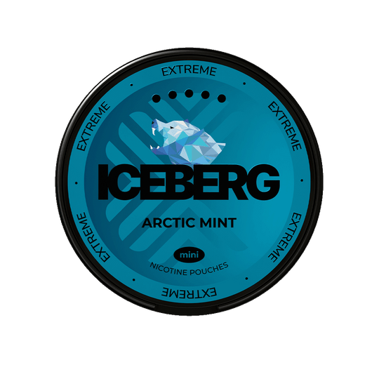 Iceberg Arctic Mint Mini 